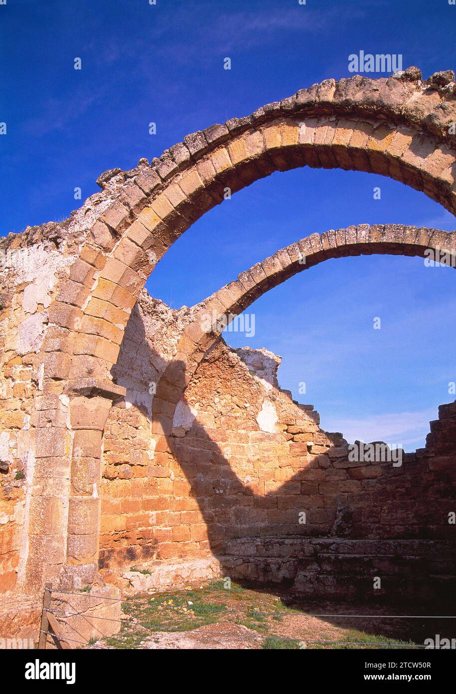 Ruines de la basilique. Parc archéologique de Recopolis, Zorita de los canes, province de Guadalajara, Castilla la Mancha, Espagne. Banque D'Images