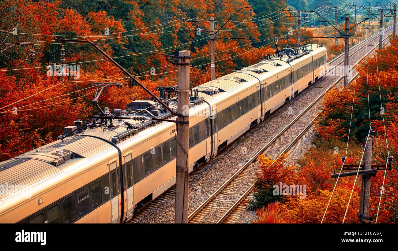 Rails rustiques : la perspective du drone de l'aube sur le voyage en train forestier Banque D'Images