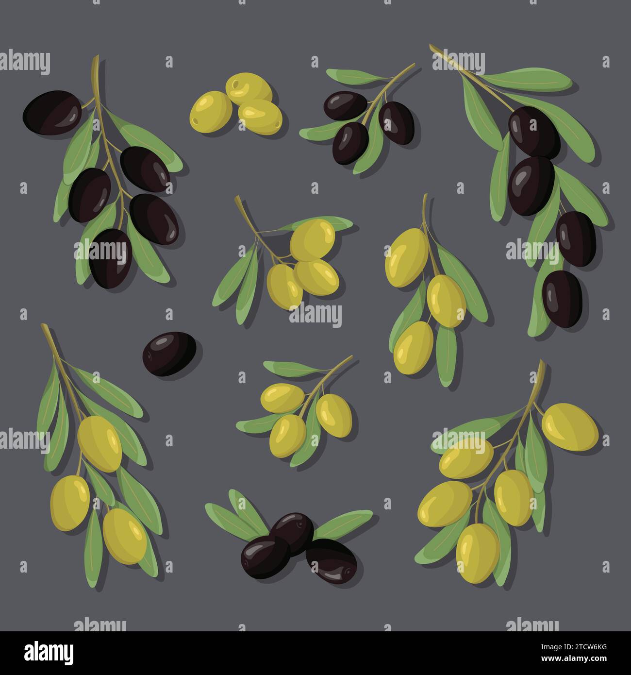 Ensemble de branches d'olivier noir et vert. Olives de jeu de couleur avec des feuilles dans le dessin animé et plat style simple. Conception pour les produits de fruits d'olive, huile, soins de santé p Illustration de Vecteur