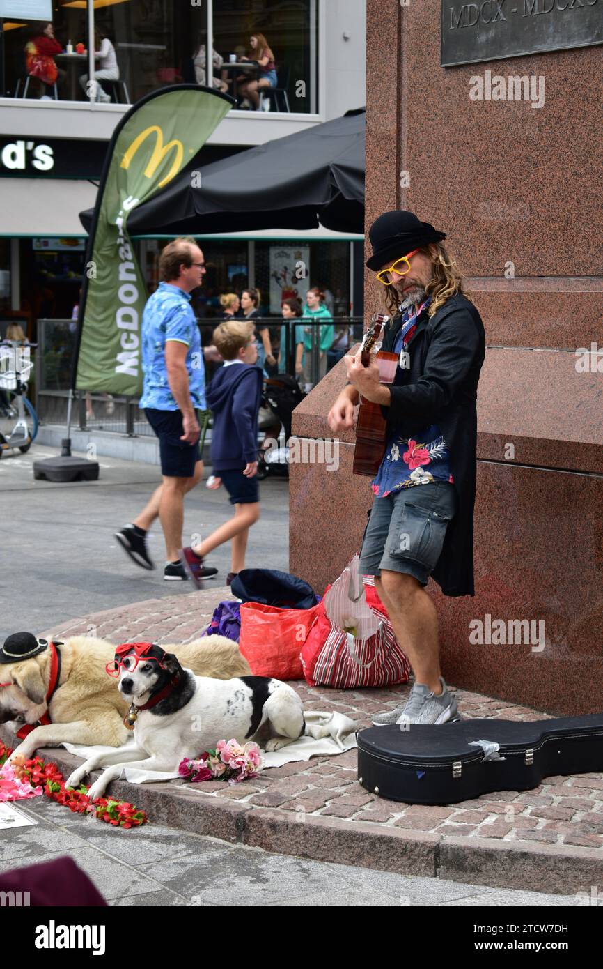 Homme avec des lunettes jaunes et chapeau melon jouant de la guitare sur la place Teniers à Anvers, accompagné de ses deux chiens portant également des lunettes Banque D'Images
