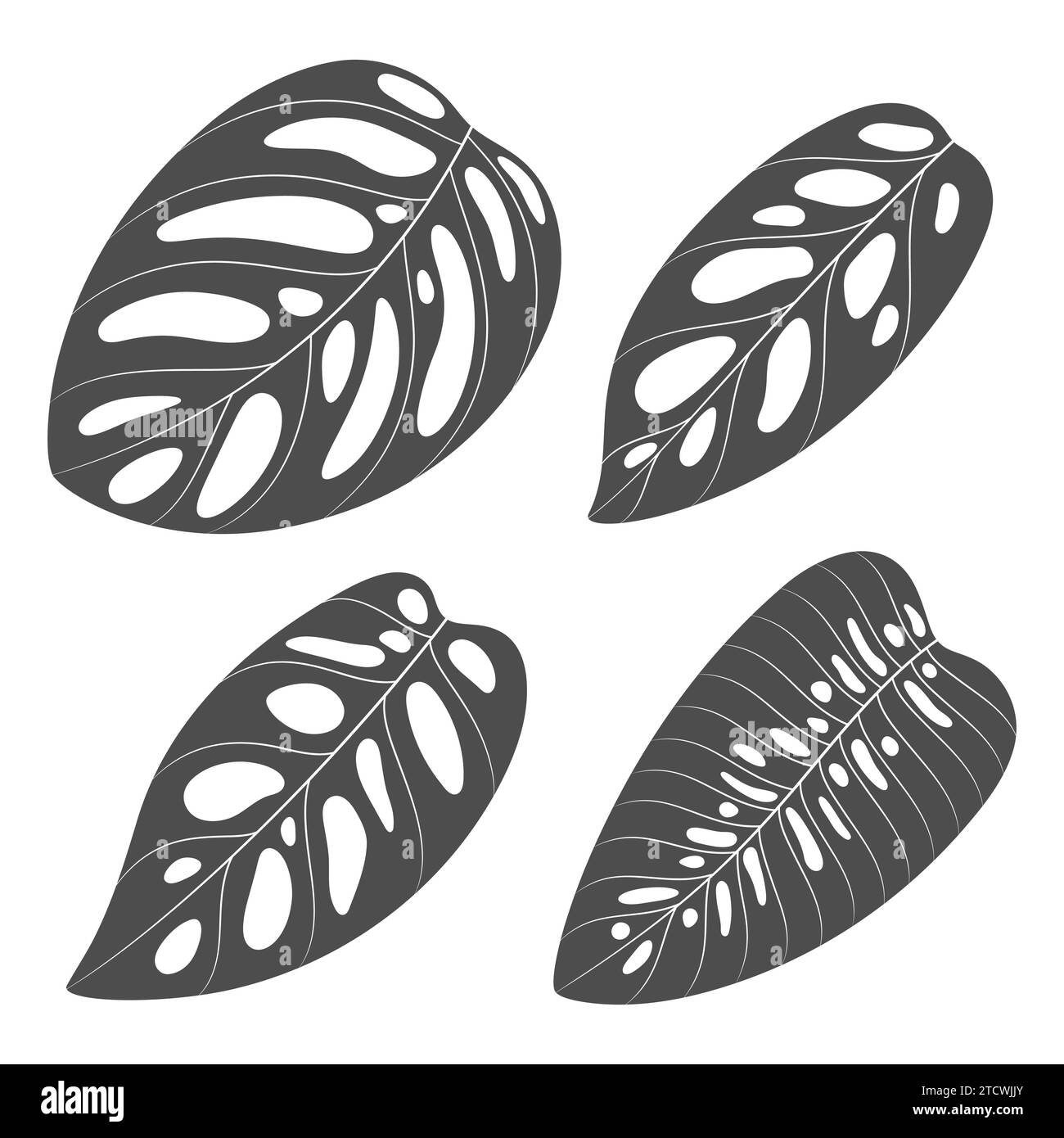 Ensemble d'illustrations en noir et blanc avec des feuilles de plante monstera creeper. Objets vectoriels isolés sur fond blanc. Illustration de Vecteur Ensemble d'illustrations en noir et blanc avec des feuilles de plante monstera creeper. Objets vectoriels isolés sur fond blanc. Illustration de Vecteur