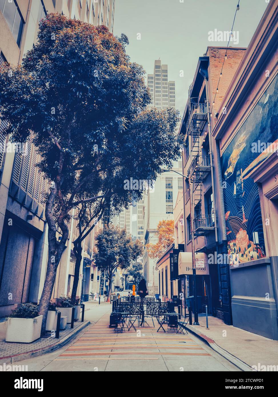 Scène paisible d'un restaurant en plein air situé dans une ruelle du centre-ville de San Francisco, Californie. Banque D'Images