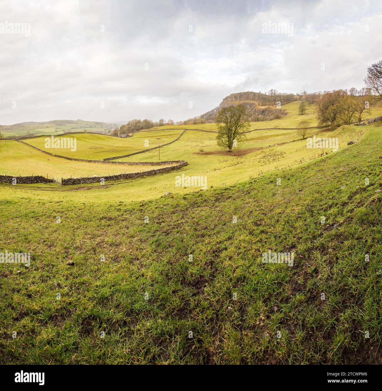 Beau paysage au-dessous de l'ancienne carrière Langcliffe et au-dessous de Lower Winskill, près de Settle, parc national des Yorkshire Dales Banque D'Images