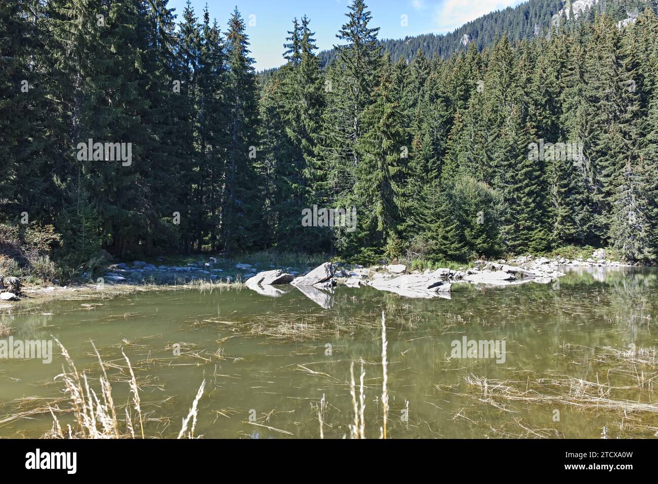 Paysage des lacs de Smolyan dans les montagnes des Rhodopes, région de Smolyan, Bulgarie Banque D'Images