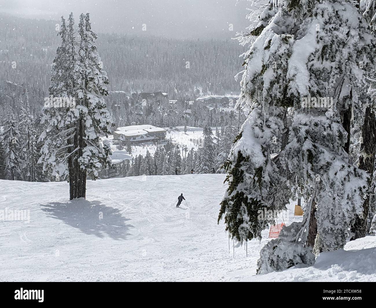 Vue imprenable sur le skieur descendant de la colline à Mount Washington Colombie-Britannique, Canada. Banque D'Images Vue imprenable sur le skieur descendant de la colline à Mount Washington Colombie-Britannique, Canada. Banque D'Images