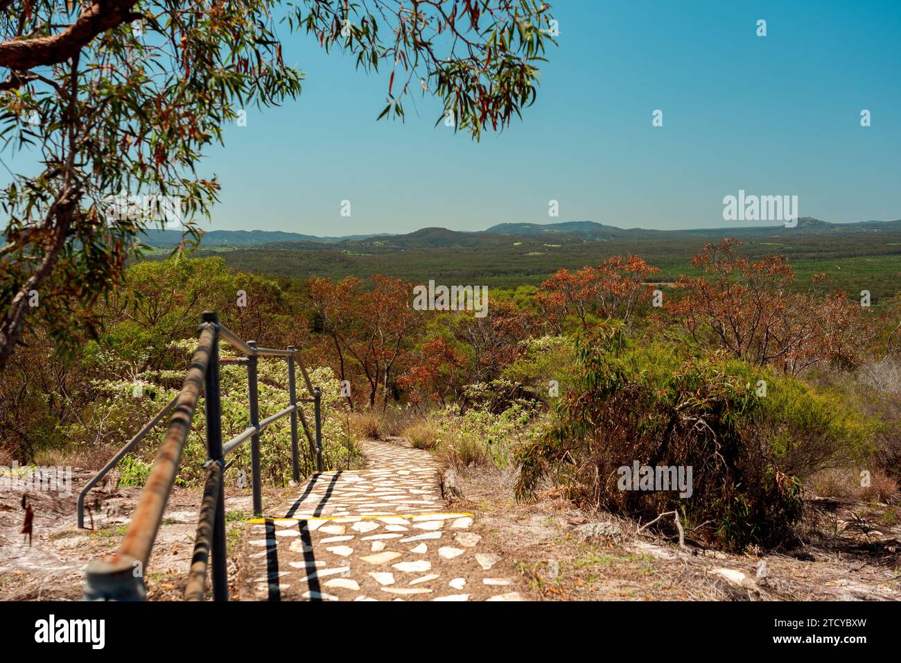 Sentier de randonnée jusqu'au sommet du mont Tinbeerwah, Queensland, Australie Banque D'Images