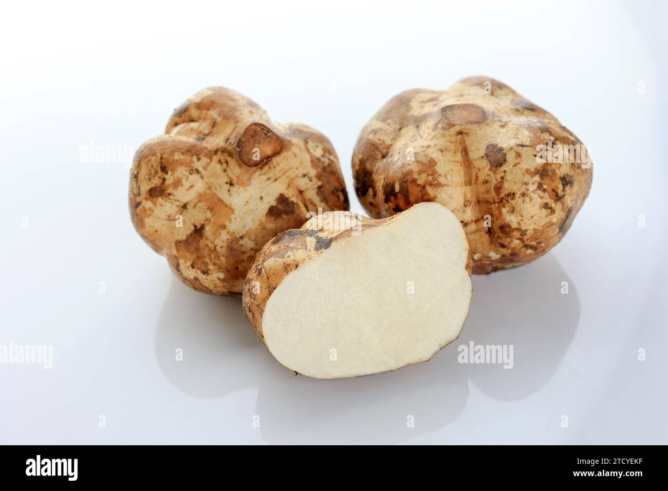 Tranche Jicama isolé sur fond blanc, Bengkoang ou Bengkuang Banque D'Images