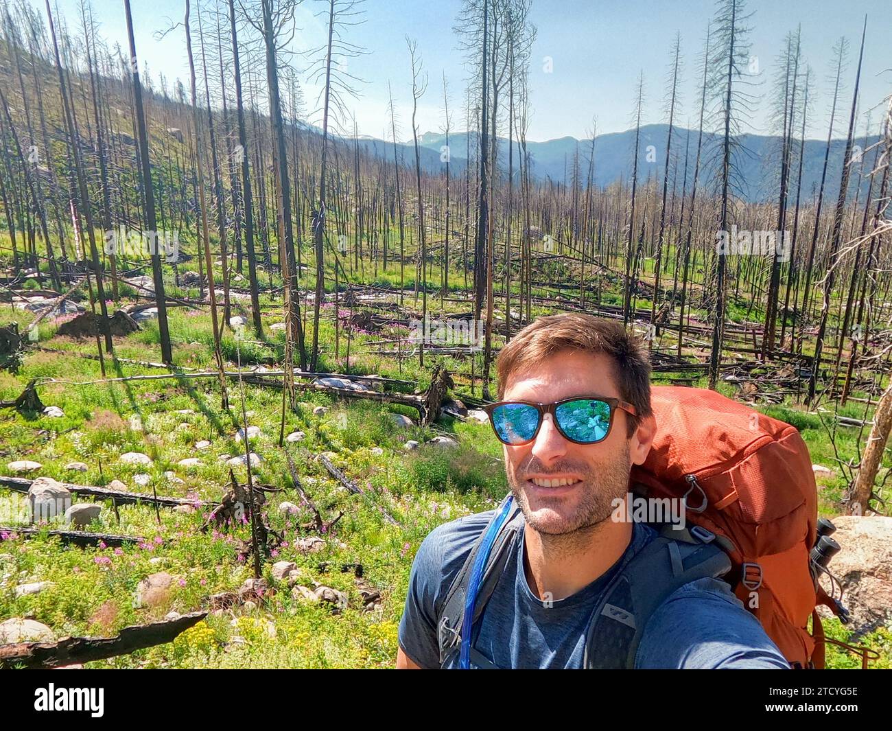 Un randonneur masculin capture un selfie dans le contexte contrasté d'une forêt brûlée en rétablissement dans le parc national des montagnes Rocheuses. Banque D'Images