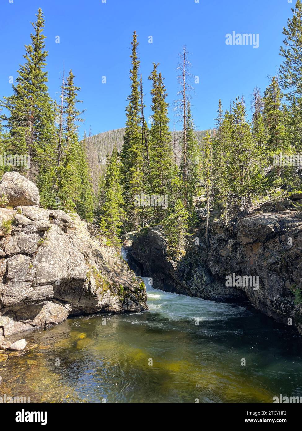 La sereine Big Pool, encadrée par des falaises accidentées et des forêts de pins, offre une escapade tranquille dans le parc national des montagnes Rocheuses. Banque D'Images