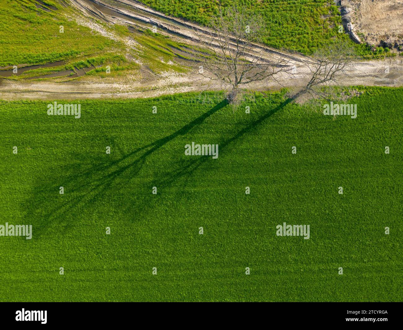 Capturée d'en haut, cette image représente un arbre unique jetant une longue ombre sur un patchwork de champs agricoles luxuriants. Le vert vif des cultures contraste nettement avec la terre brune des parcelles adjacentes non plantées. Les textures variées de la terre, de la douceur de la zone verte au terrain accidenté et sillonné à côté, racontent une histoire de culture et de croissance. Cette scène naturelle témoigne des saisons changeantes et du cycle permanent de l'agriculture. Ombre d'un arbre solitaire au-dessus de champs agricoles dynamiques. Photo de haute qualité Banque D'Images