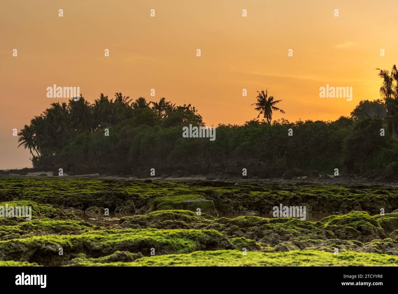 Vue panoramique du lever du soleil sur la plage avec des récifs coralliens couverts de mousse verte Banque D'Images