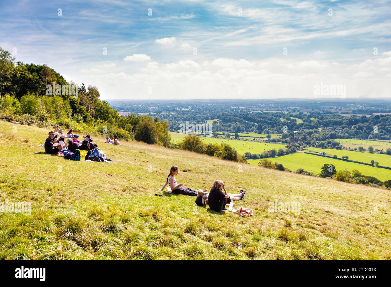 Point de vue de Boxhill le long de la North Downs Way entre Westhumble et Merstham, Surrey, Angleterre Banque D'Images