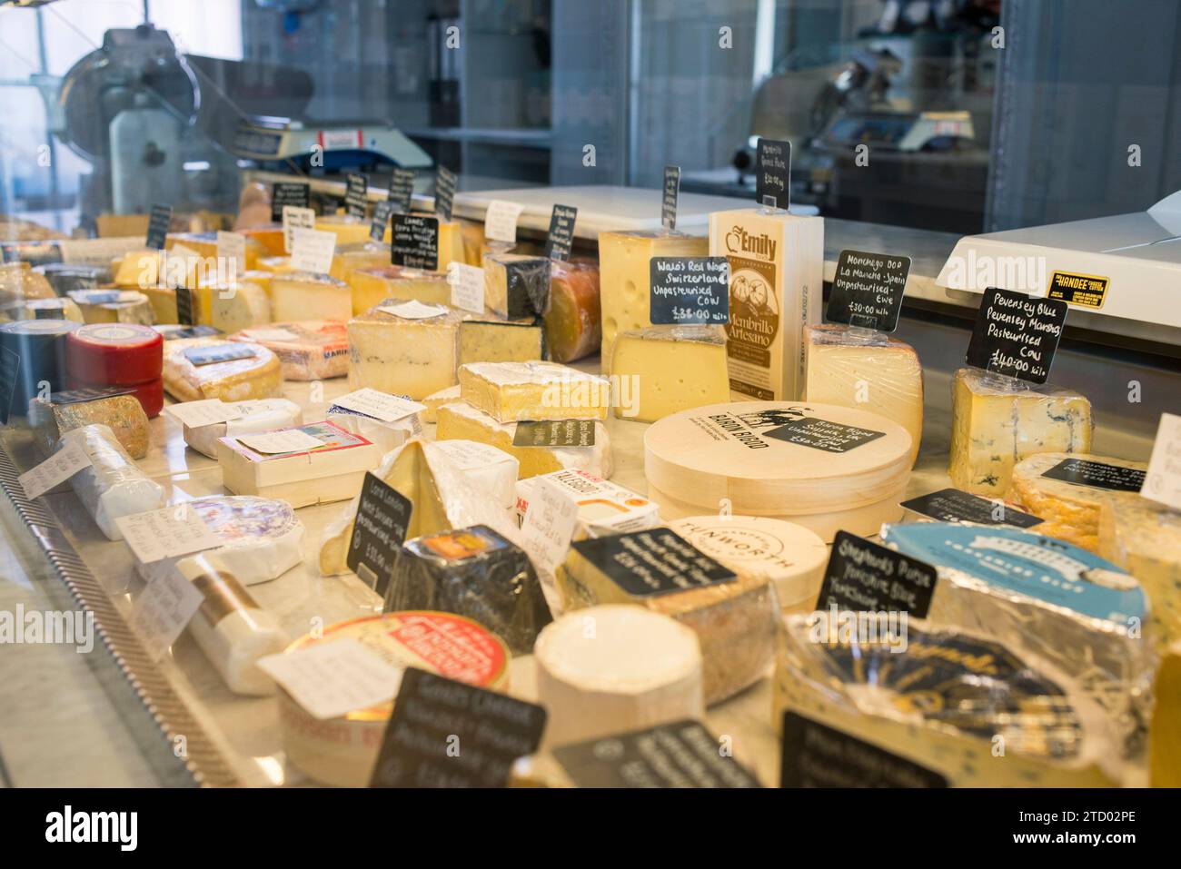 Un comptoir de fromage dans un magasin d'alimentation local spécialisé avec un grand affichage de fromage. Banque D'Images