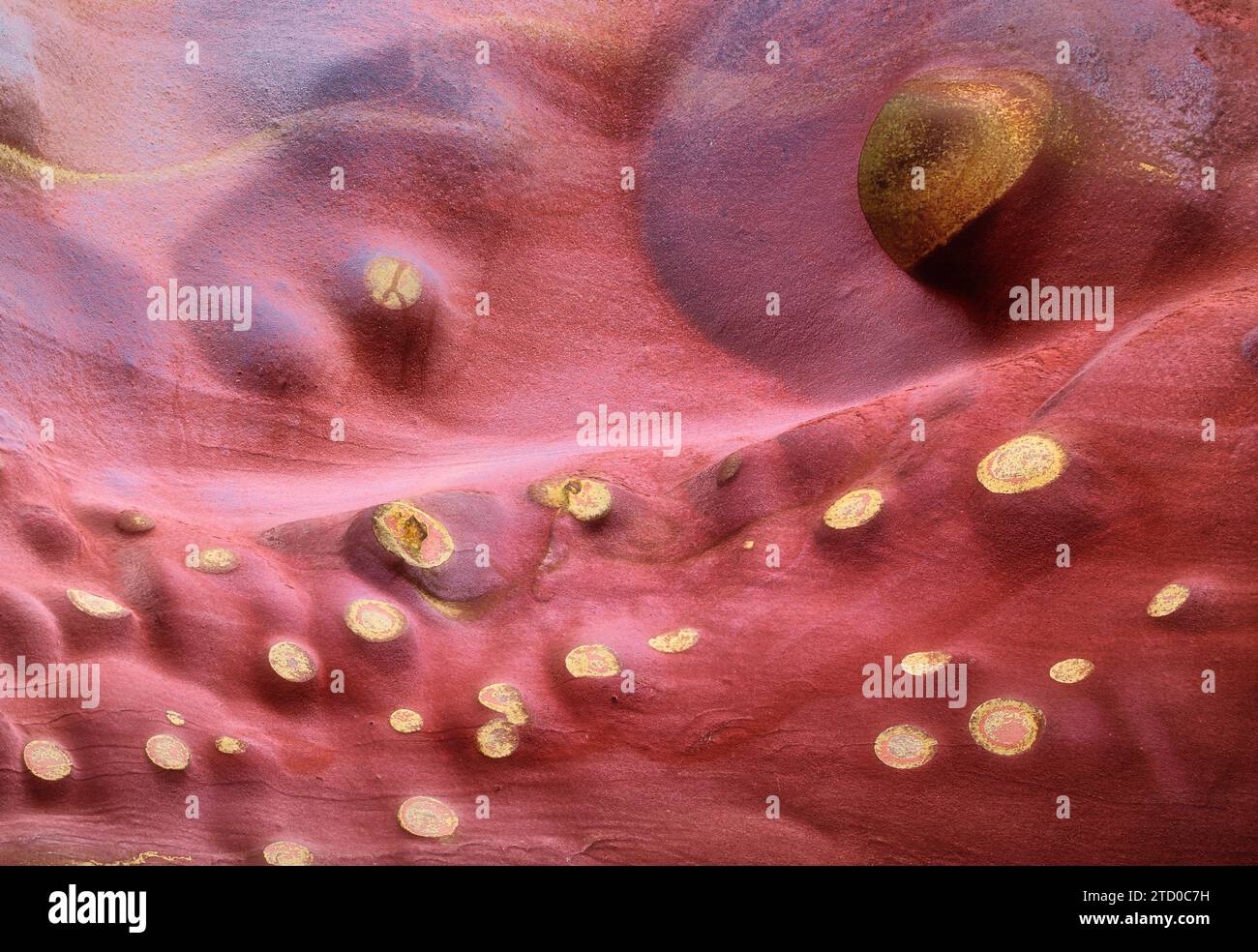 Vue rapprochée d'une surface abstraite en pierre rouge avec des textures circulaires dorées et des motifs variés. Banque D'Images