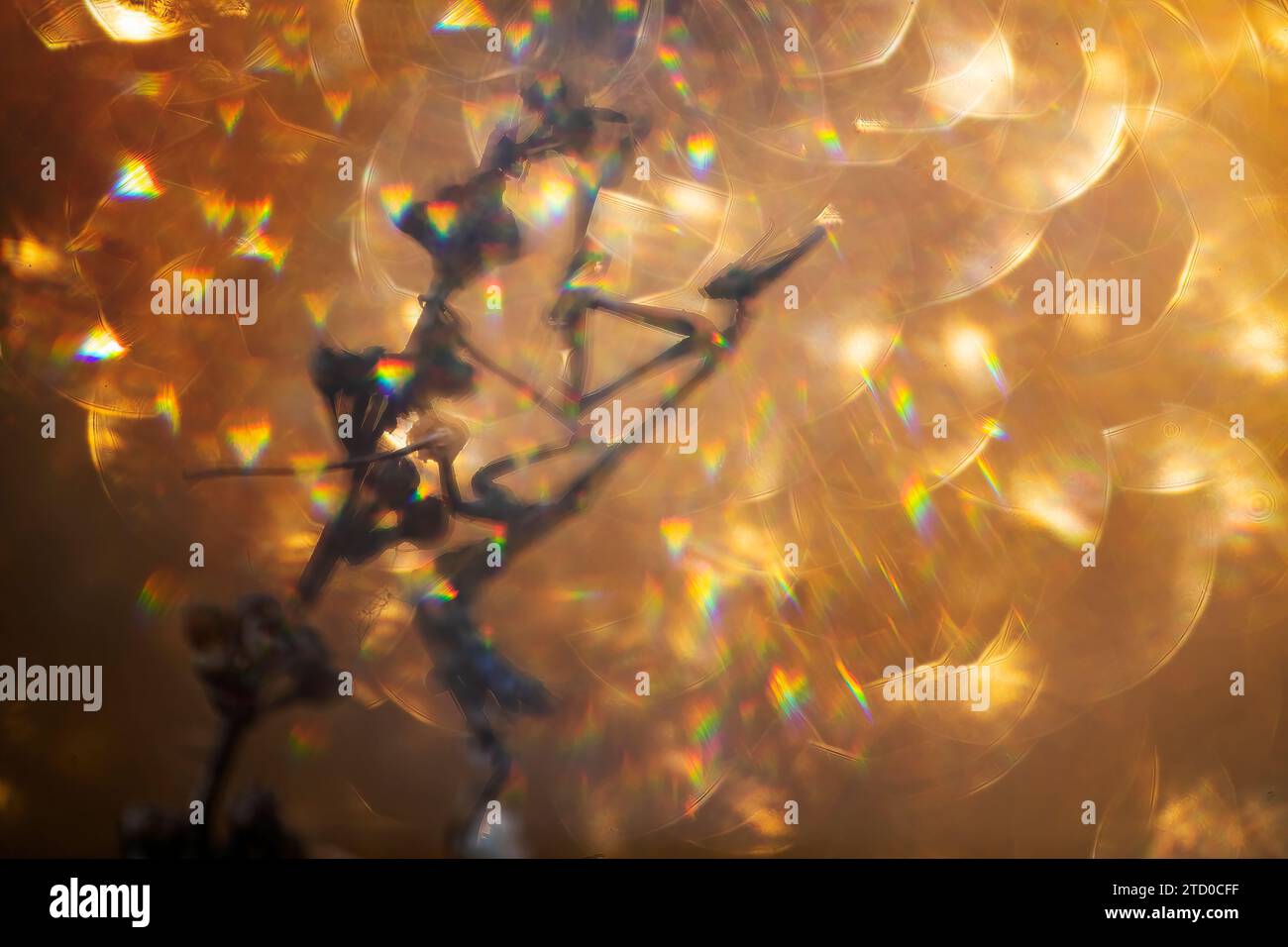 Une composition abstraite de lumières bokeh étincelantes avec des effets de prisme colorés et des formes floues, créant un arrière-plan de rêve. Banque D'Images