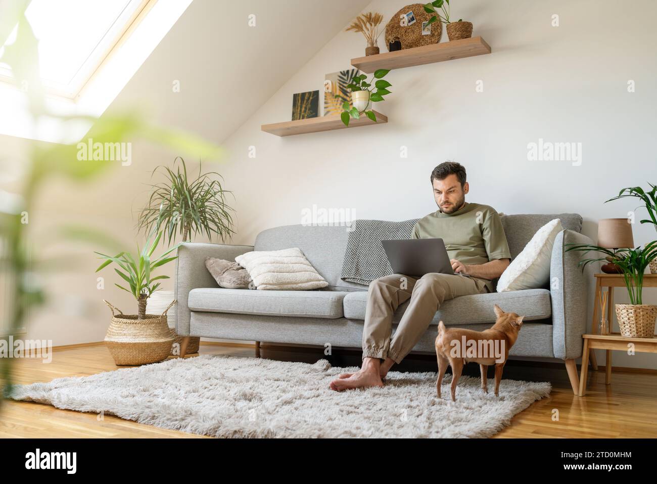 Mode de vie domestique. Homme assis sur un canapé à la maison et utilisant un ordinateur portable. Travailler à domicile. Banque D'Images