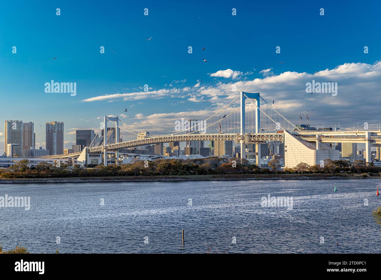 Pont arc-en-ciel Odaiba à Tokyo, Japon Banque D'Images