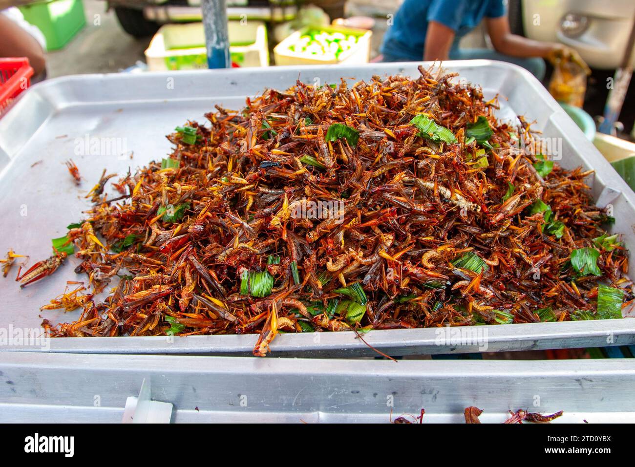 Insectes frits au marché alimentaire de Bangkok Thaïlande Banque D'Images