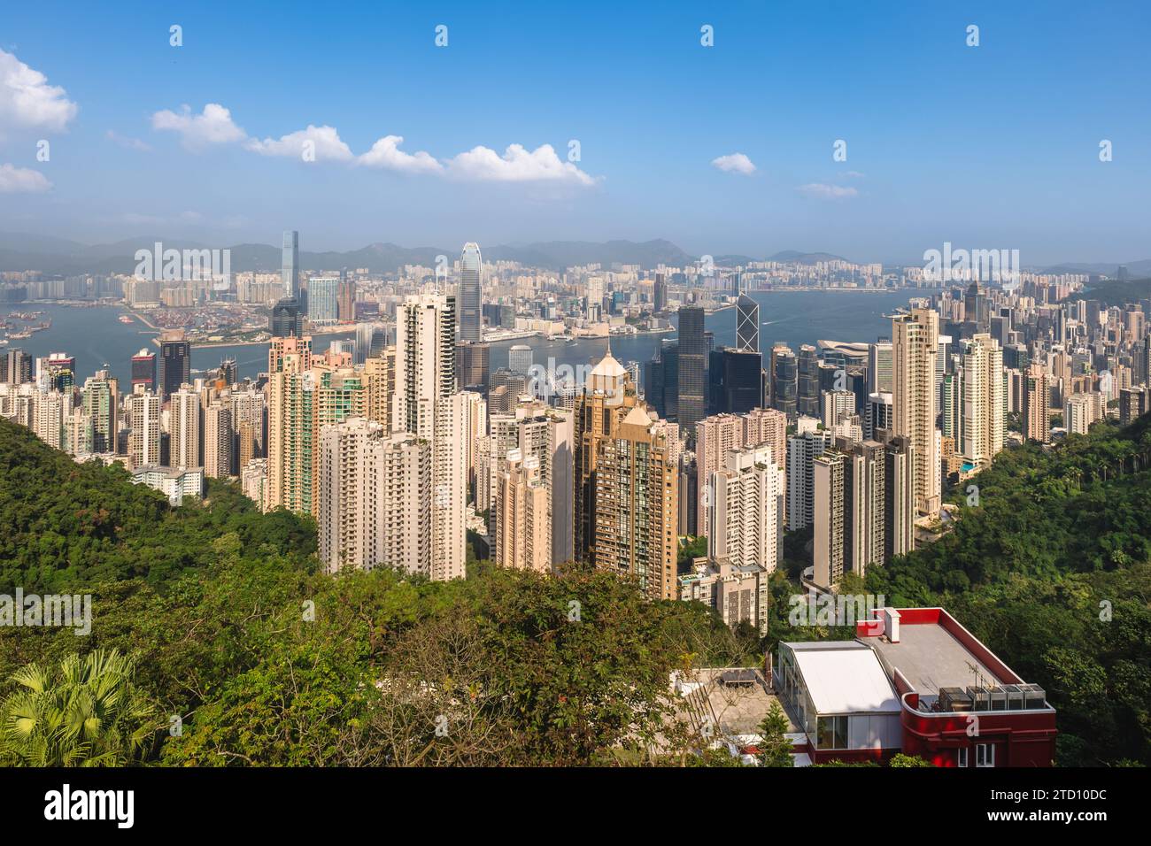 vue sur le port de victoria et l'île de hong kong au-dessus du pic victoria à hong kong, chine Banque D'Images