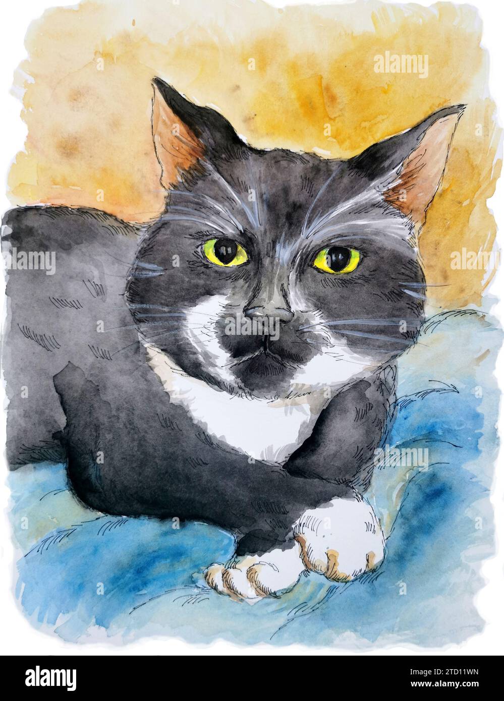 Portrait d'adorable chat noir et blanc smoking. Dessin à l'aquarelle. Concept d'animal de compagnie. Banque D'Images