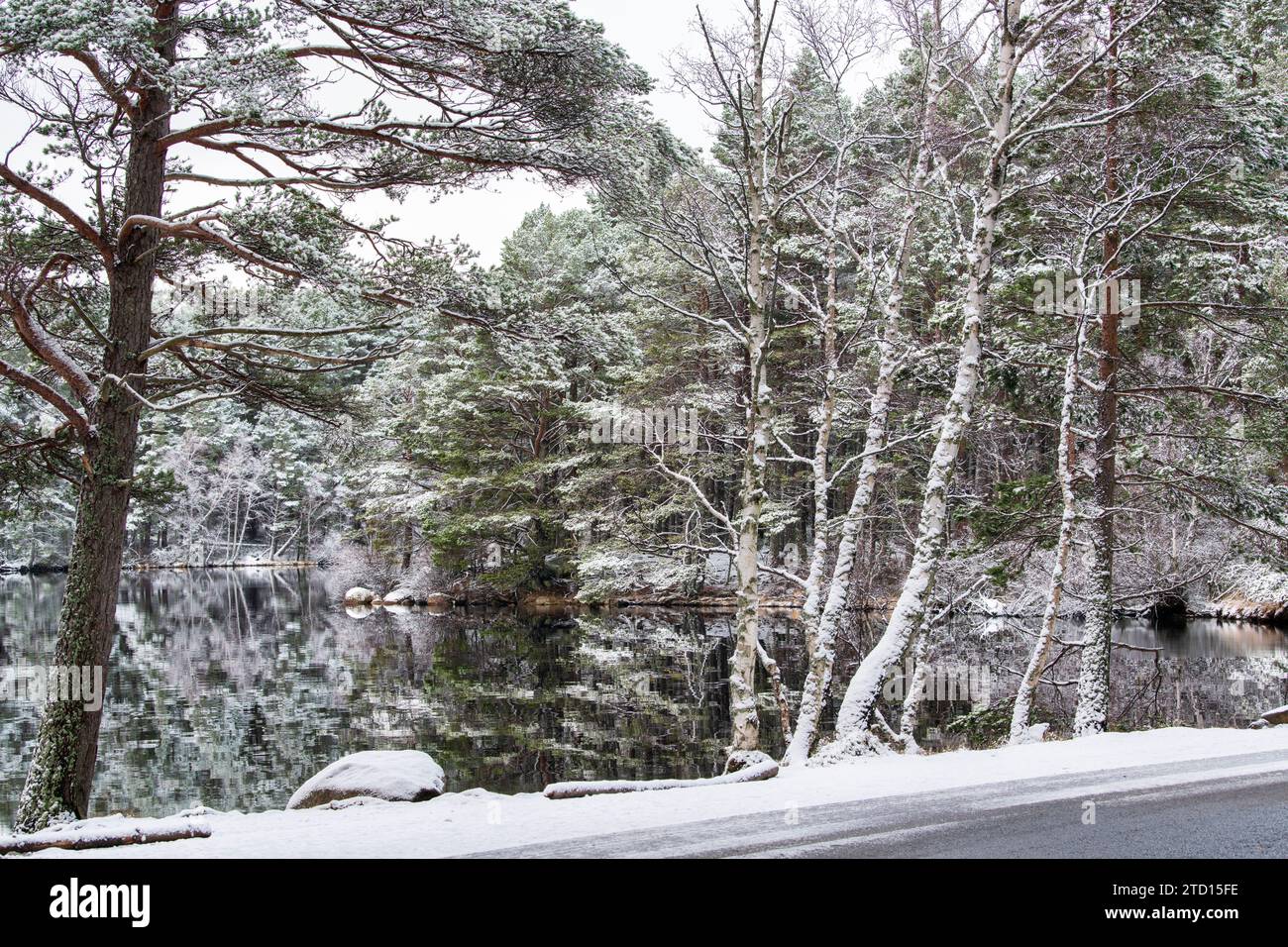 Loch Garten dans la neige. Highlands, Écosse Banque D'Images