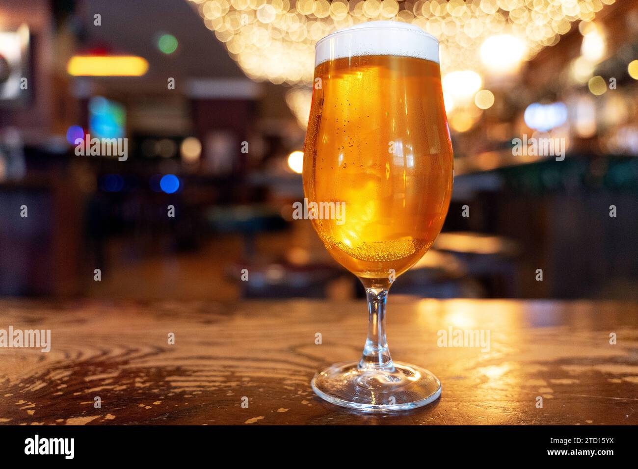 Southampton, Angleterre - 8 décembre 2023 : un verre de bière sur une table en bois dans un pub en Angleterre *** Ein Glas Bier auf einem Holztisch in einem Pub en Angleterre Banque D'Images