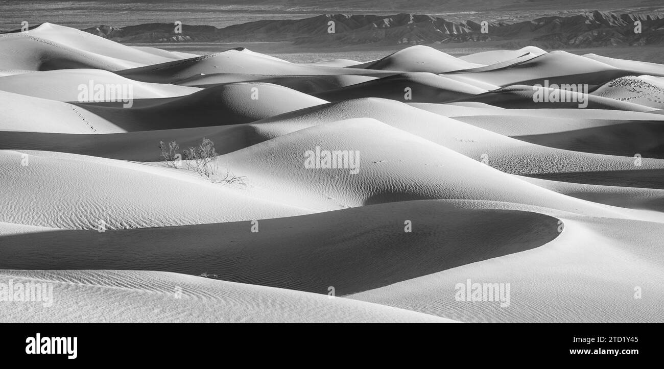 Dunes de sable de Mesquite Flat dans le parc national de la Vallée de la mort, Californie. Banque D'Images
