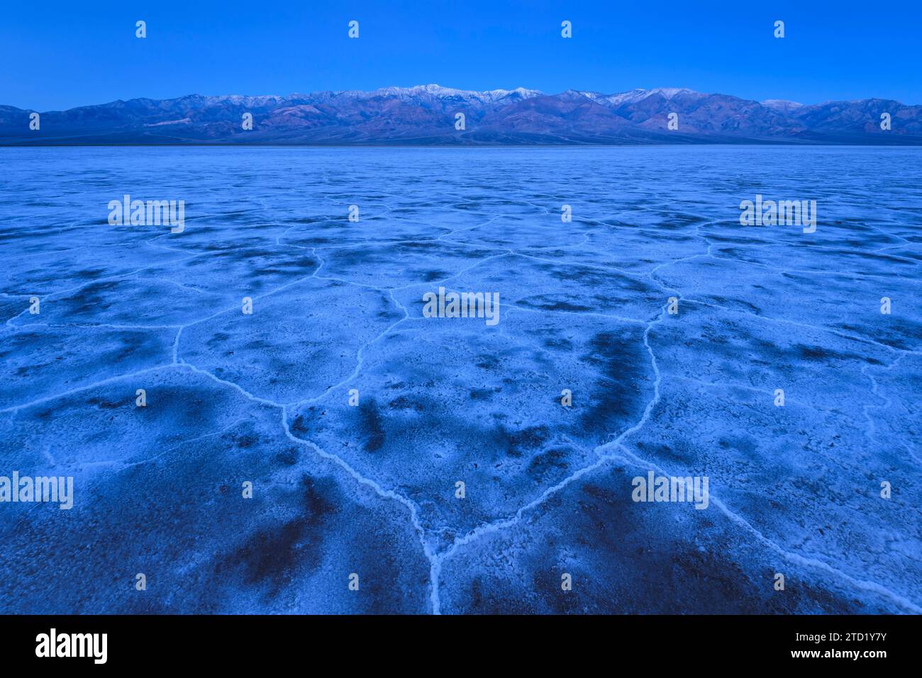 Polygones de formation de sel dans le bassin Badwater et les montagnes Panamint à l'aube dans le parc national de la Vallée de la mort, en Californie. Banque D'Images