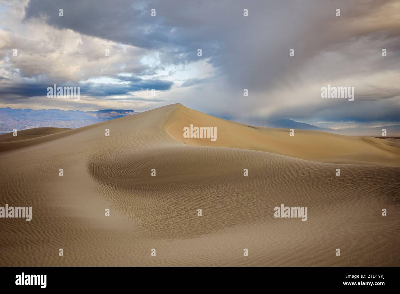 Dunes de sable de Mesquite Flat dans le parc national de la Vallée de la mort, Californie. Banque D'Images