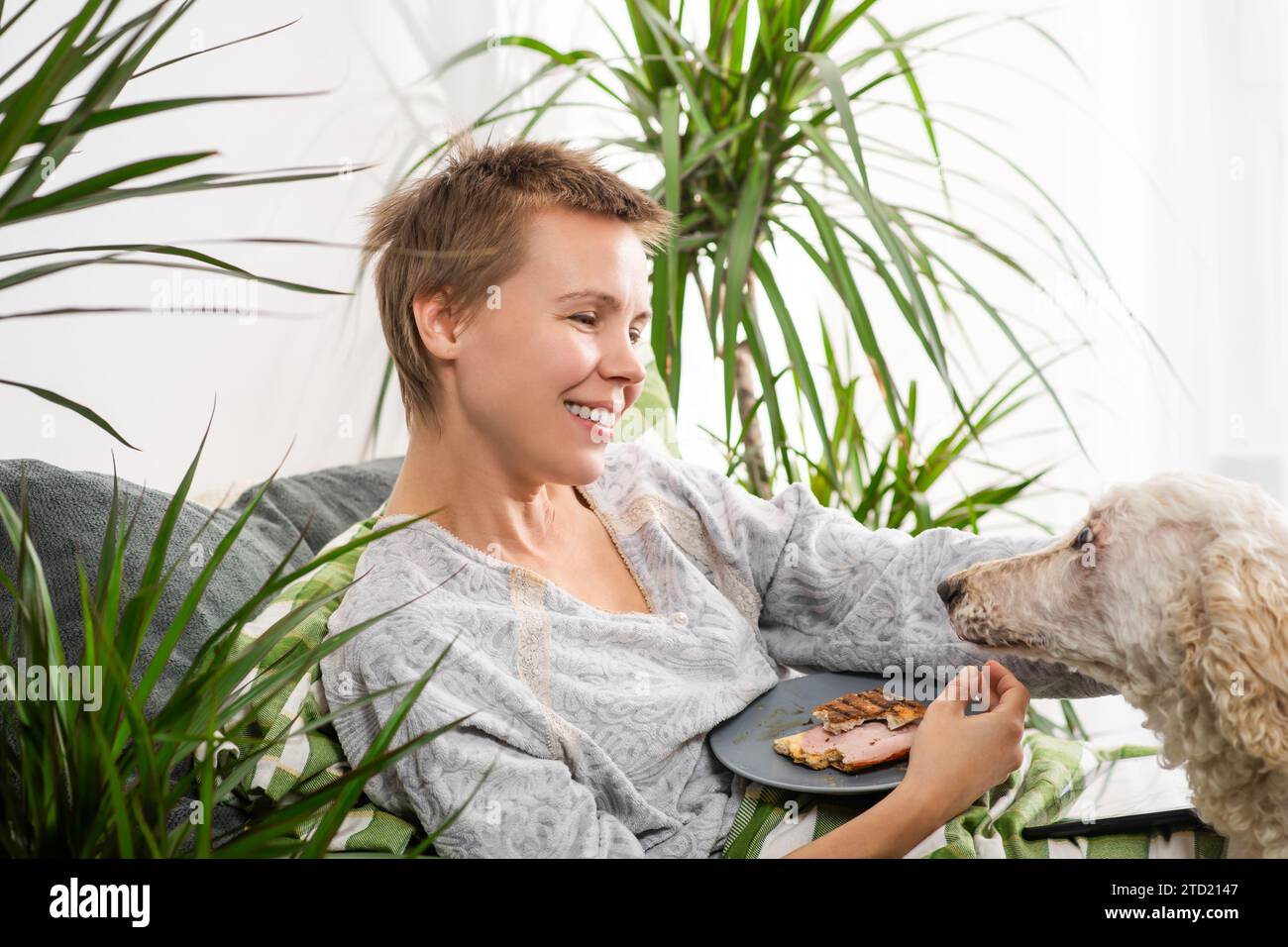 Tout au long de la journée, une femme d’âge mûr, les cheveux coupés courts, se couche au lit, s’engouffre dans sa tablette, accompagnée de son chien, et grignote sur un sandwic Banque D'Images