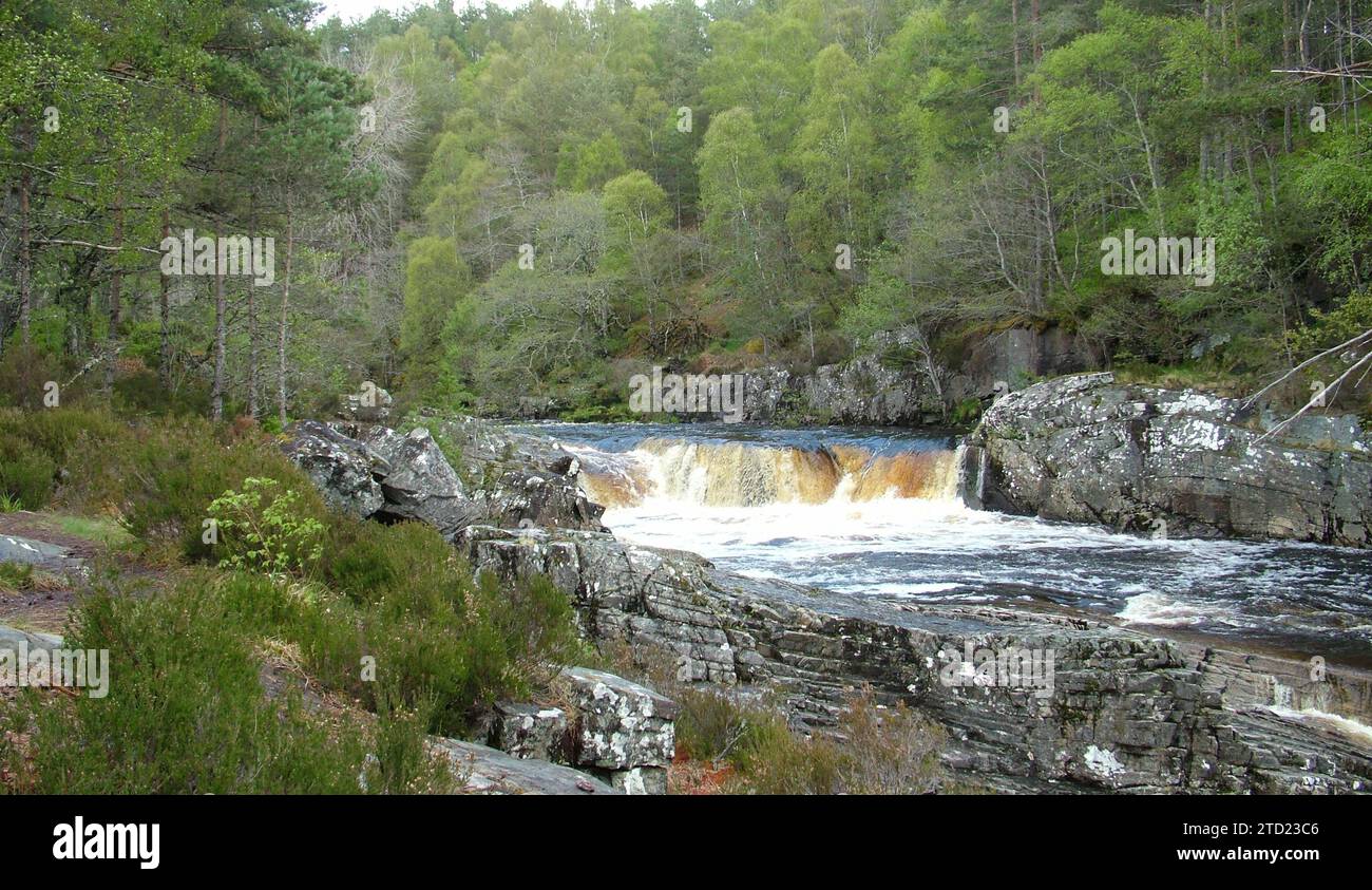 Les chutes de Rogie sont une série de chutes d'eau sur la Black Water, une rivière à Easter Ross dans les Highlands de l'Écosse. Banque D'Images