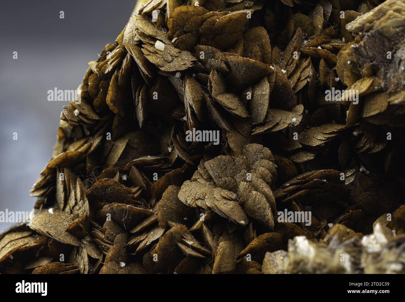 Macro Shot affichant un échantillon minéral de sidérite, en mettant en évidence sa surface texturée Banque D'Images