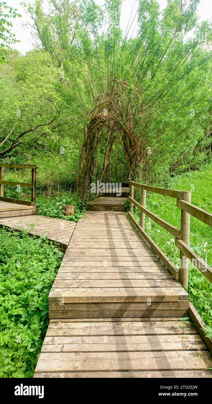 Passerelle en bois avec arche de saule menant au trône en bois dans le terrain de jeu de New Lanark, Écosse, site d'héritage de l'UNESCO Banque D'Images