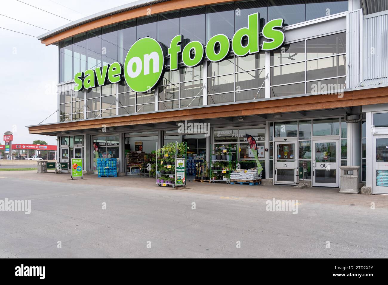 Enseigne Save-on-Foods sur le bâtiment de Calgary, Alberta, Canada Banque D'Images