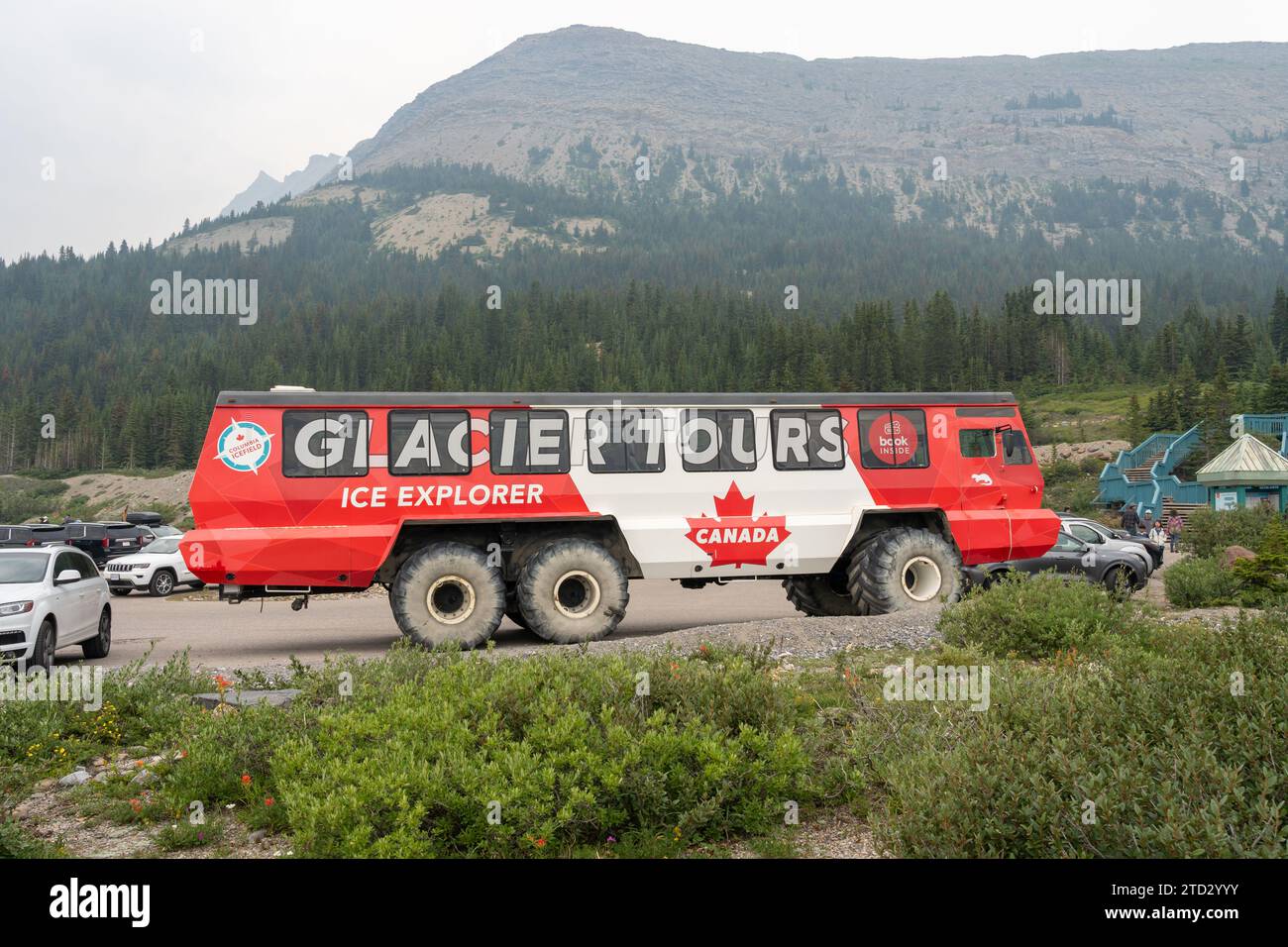 Un véhicule explorateur de glace dans le glacier Athabasca, Jasper NP, Alberta, Canada Banque D'Images Un véhicule explorateur de glace dans le glacier Athabasca, Jasper NP, Alberta, Canada Banque D'Images