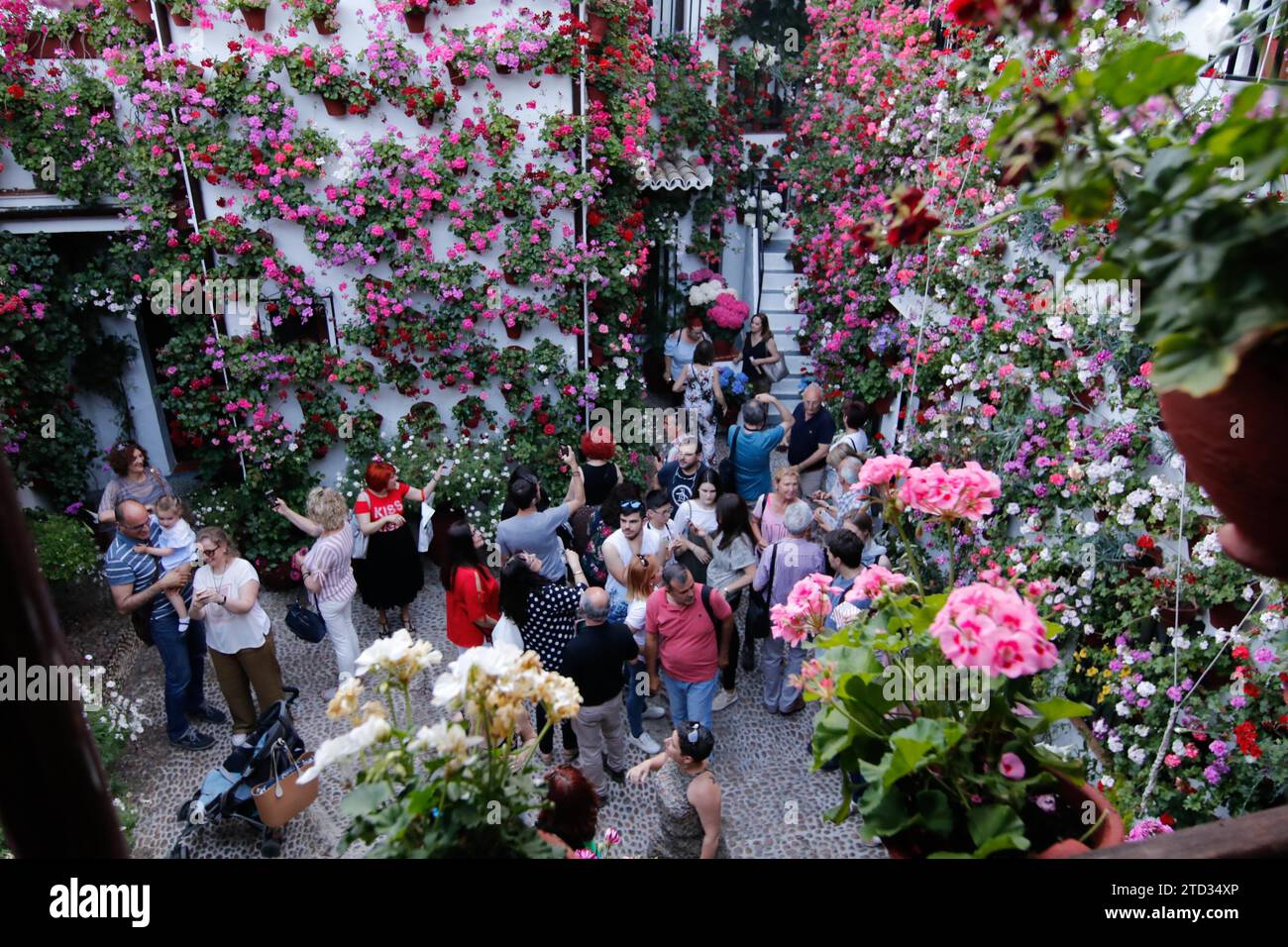 Córdoba, 05/11/2019. Reportage sur l'atmosphère dans les cours du SASN Basilio. Photo : Álvaro Carmona ARCHCOR. Crédit : Album / Archivo ABC / Álvaro Carmona Banque D'Images