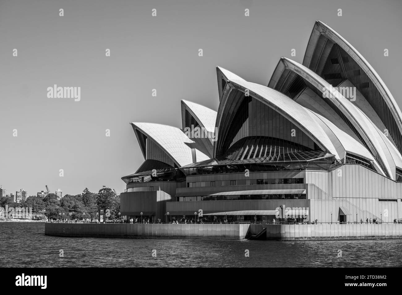 Opéra de Sydney en noir et blanc Banque D'Images