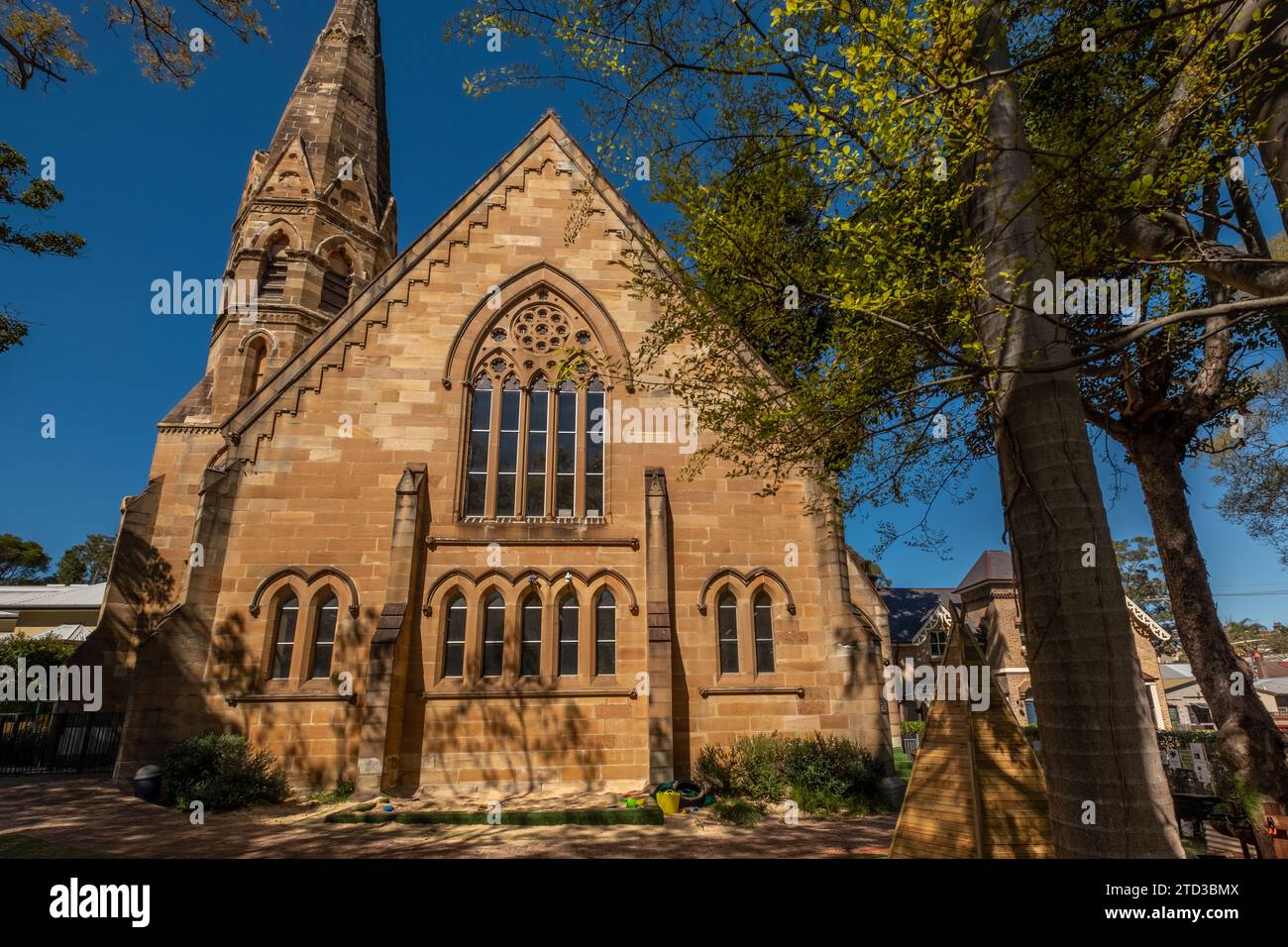 Maisons mitoyennes victoriennes à Glebe, Sydney, NSW, Australie. Banque D'Images