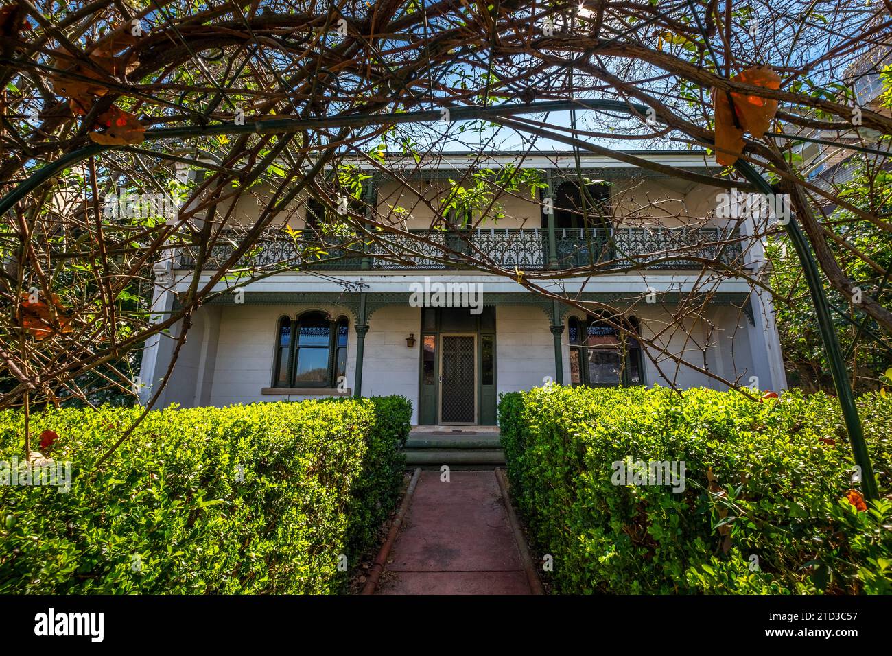 Maisons mitoyennes victoriennes à Glebe, Sydney, NSW, Australie. Banque D'Images
