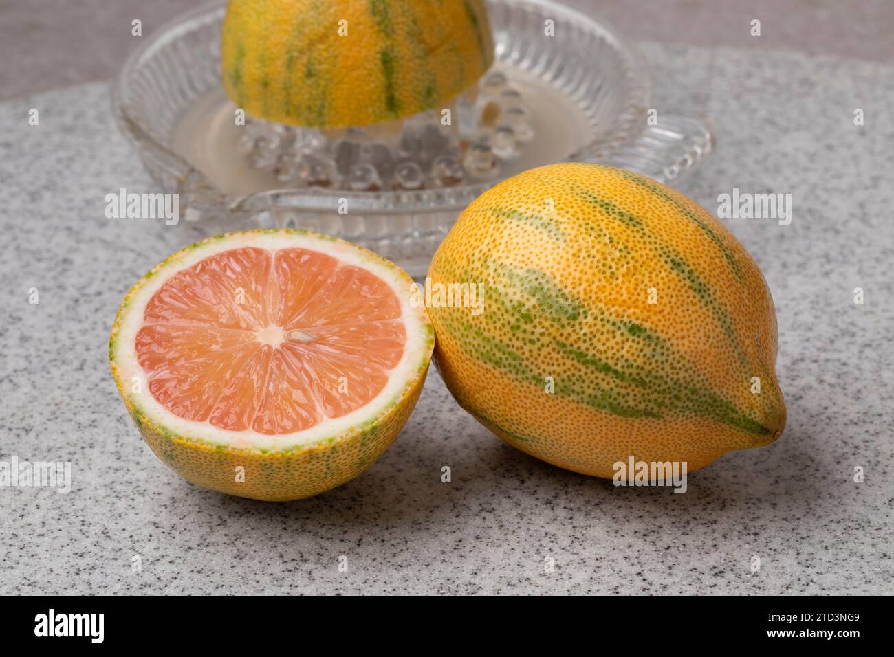 Citron tigre entier et coupé en deux et presse-agrumes en verre en gros plan Banque D'Images