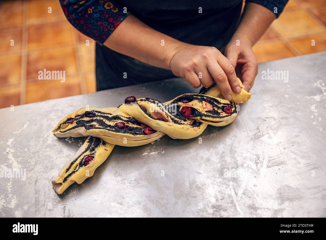 Mains féminines préparant une babka de graines de pavot. Gâteau juif traditionnel ressemblant à du pain tourbillonné de graines de pavot et de cerise Banque D'Images