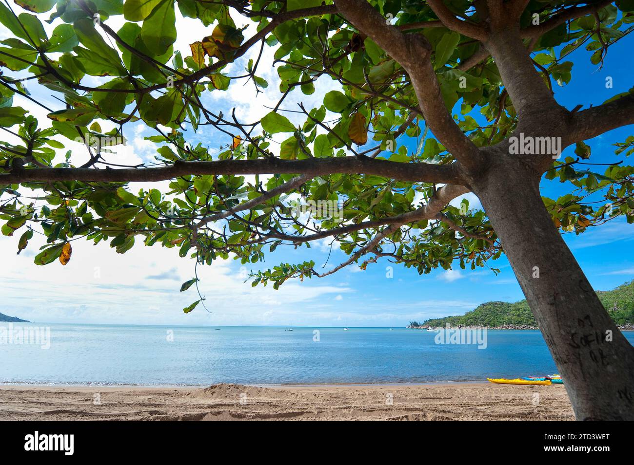 Plage avec ombre d'arbre, protection solaire, rayonnement UV, protection, canopée, île magnétique, Australie Banque D'Images
