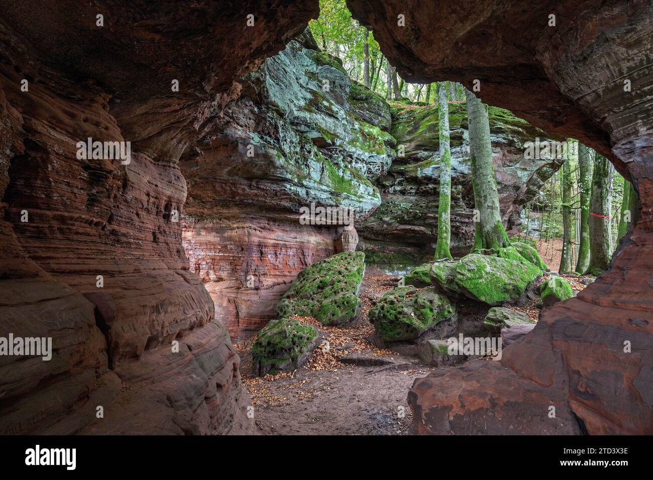 Roche de vieux château, formation rocheuse de grès rouge, monument naturel et culturel, Brechenberg près d'Eppenbrunn, Forêt du Palatinat, Rhénanie-Palatinat Banque D'Images