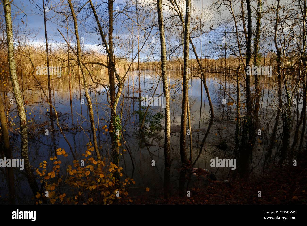 DORDOGNE DÉCEMBRE 2023 INONDATION À LA CAMPAGNE - FORTES PLUIES - MÉTÉO © PHOTOGRAPHIE : F.BEAUMONT Banque D'Images