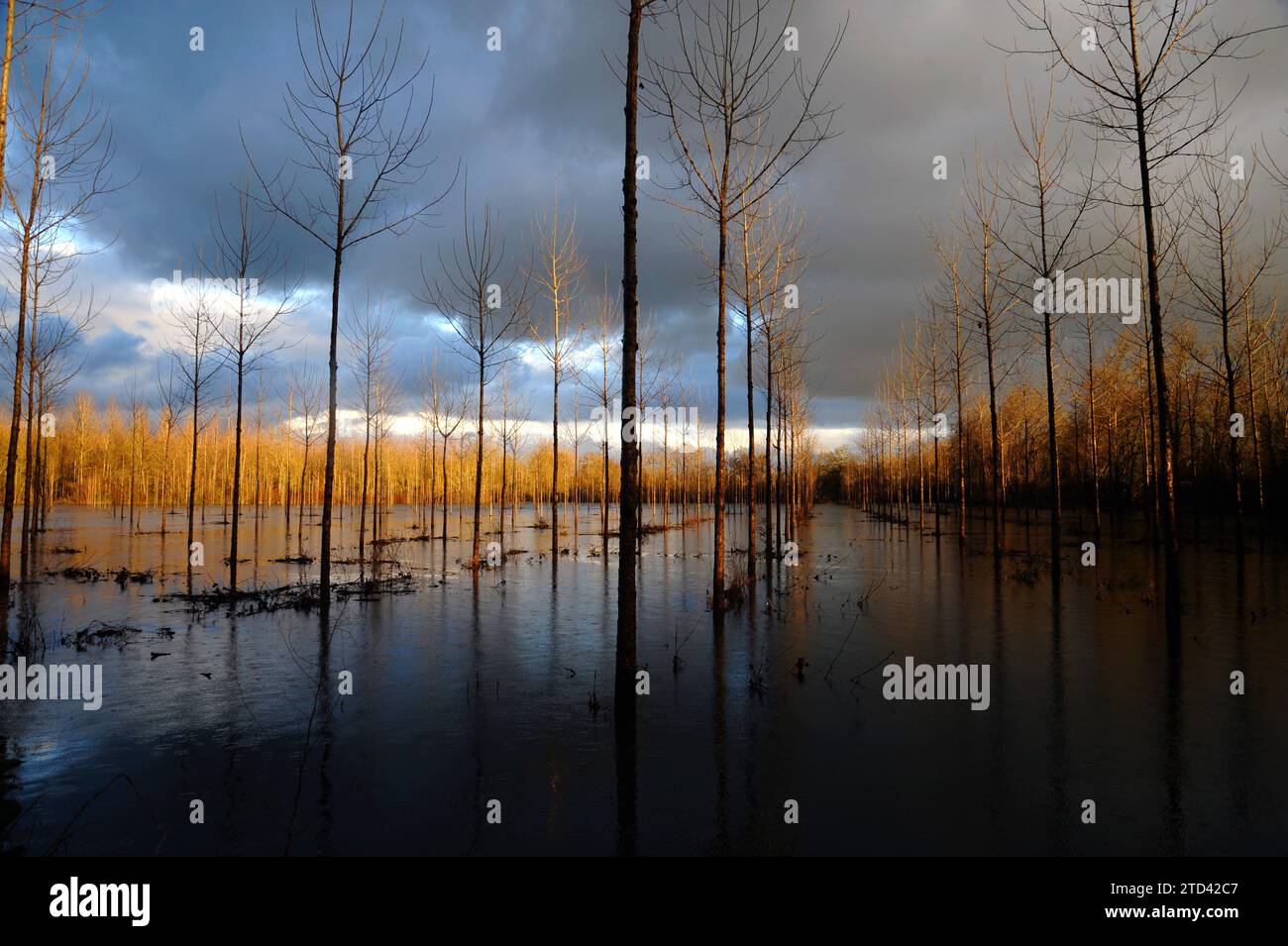 DORDOGNE DÉCEMBRE 2023 INONDATION À LA CAMPAGNE - FORTES PLUIES - MÉTÉO © PHOTOGRAPHIE : F.BEAUMONT Banque D'Images