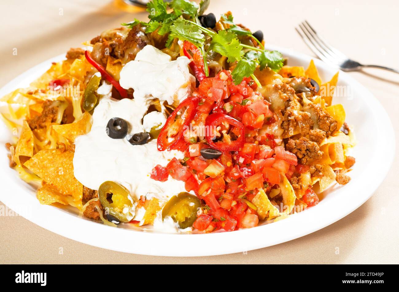 Nachos frais et salade de légumes avec viande, Chili con carne, nourriture mexicaine tipycal, photographie alimentaire Banque D'Images