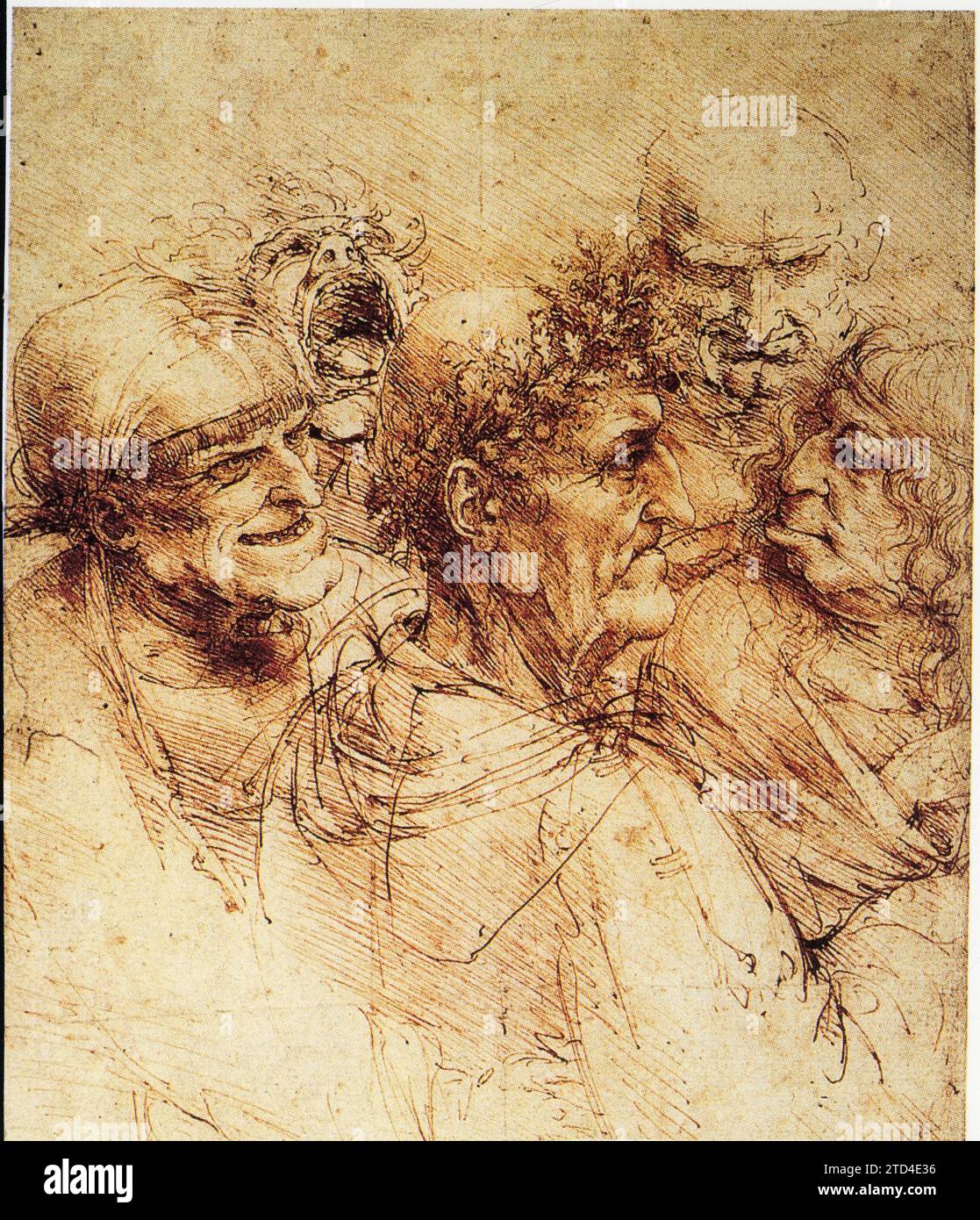 Léonard de Vinci. Cinq têtes grotesques.1495 Banque D'Images