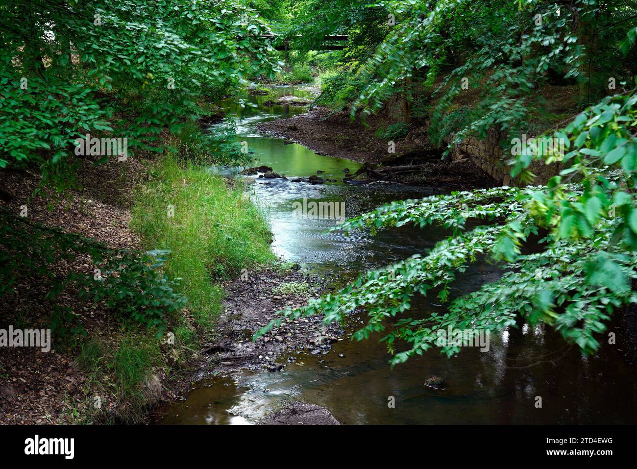 Ruisseau, jardin du château, Manetin, Manetin, région de Pilsen, République tchèque, Manetin, Manetin, Bohême occidentale, République tchèque Banque D'Images