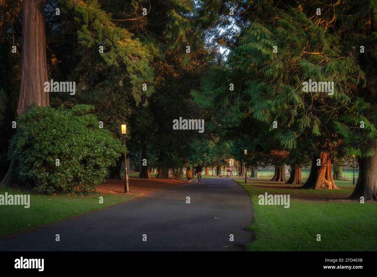 Les gens flous en mouvement, marchant sur un sentier entouré d'arbres majestueux et de lampadaires vintage, illuminés par la lumière du soleil, Dublin, Irlande Banque D'Images