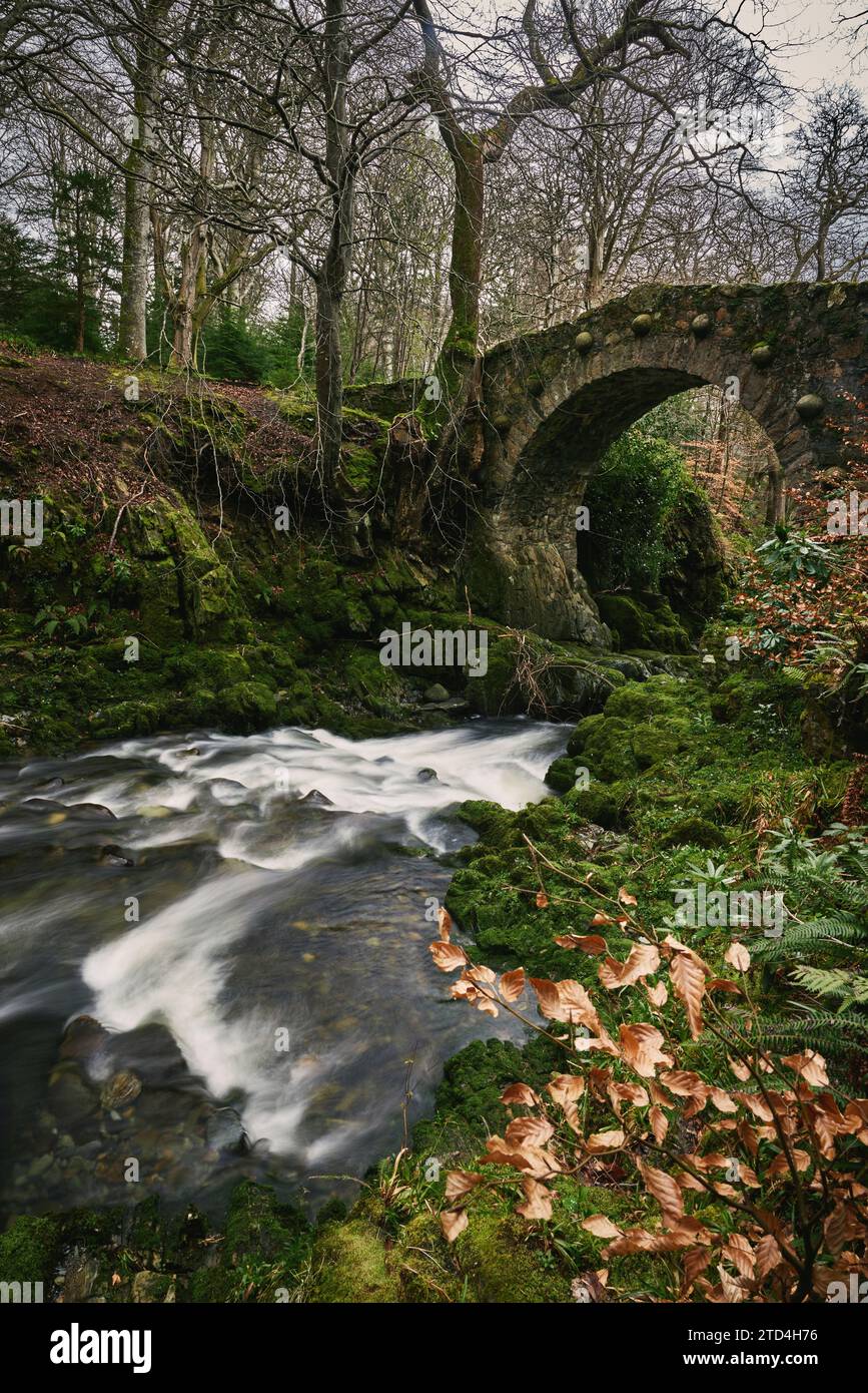 Foley's Bridge dans Tollymore Forest Park, comté de Down, Irlande du Nord. Cela a été présenté dans de nombreux films dont Donjons et Dragons. Banque D'Images